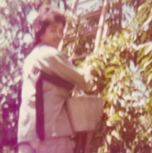 Attorney David Torres in his youth as a field worker
